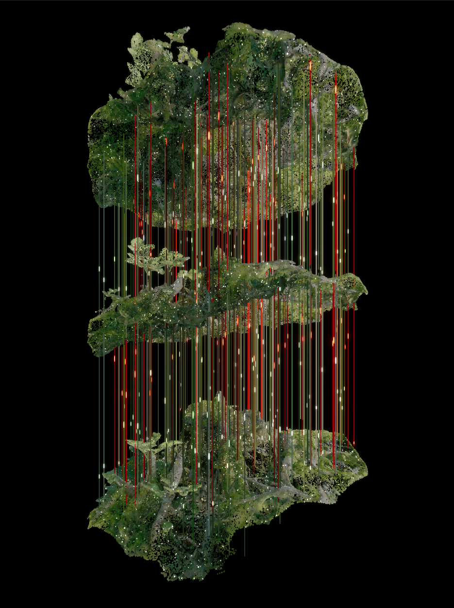 Nature Scan PART1 root system visual